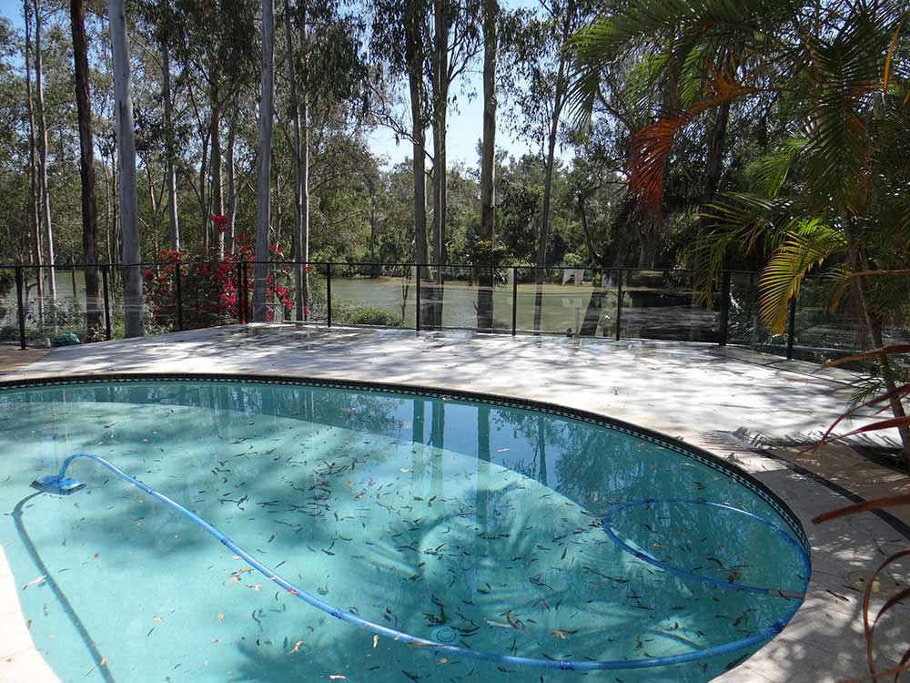 Swimming Pool Decking Designs Jindalee