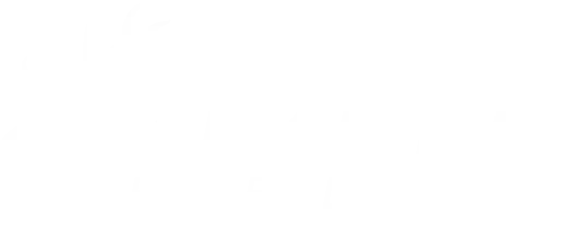 Adapt It Group